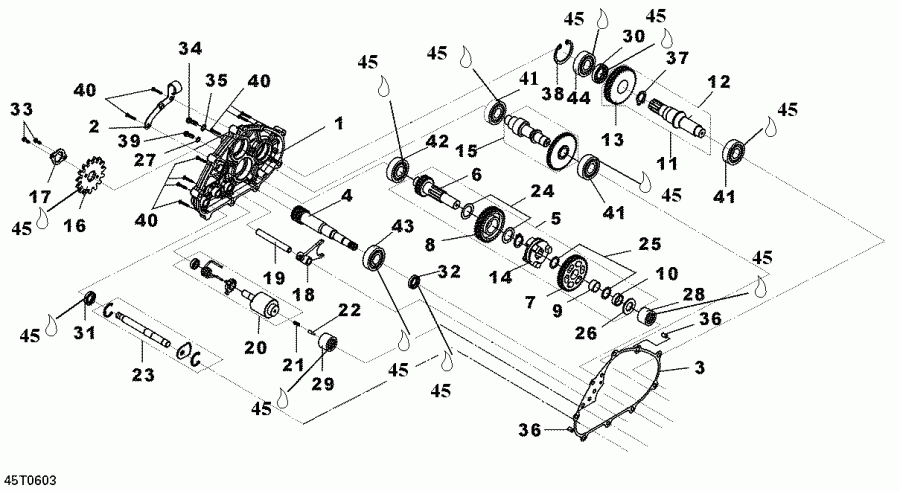   DS 250, CE, 2006  - Gear Box