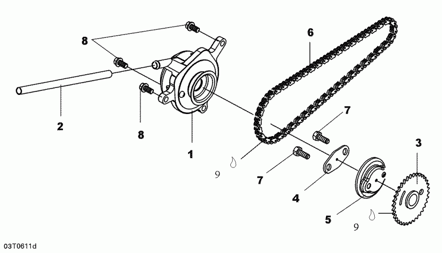 ATV  DS 250 NA / Inter, 2006 - Breather And Timing Chain