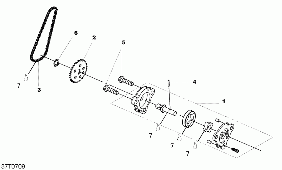 BRP DS 250, CE, 2007 - Oil Pump