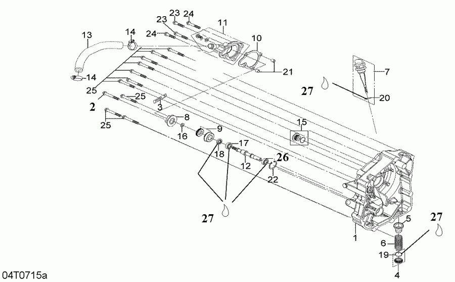 ����������  ����������� DS 250 NA / Inter, 2007 - ������ ������� � ������� �����