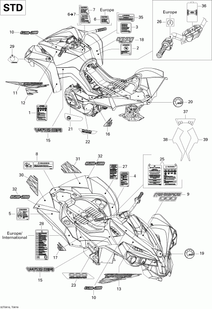 BRP Renegade 800, 2008 ������ - Decals