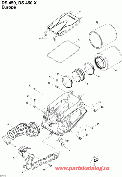 ���������� Bombardier DS 450 CE STD & X (3F9D,3G9D), 2009 - Air Intake