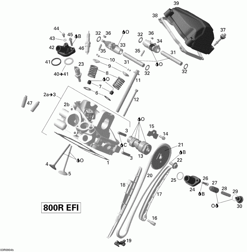 ���������� Bombardier Outlander 800R EFI, 2009 ������ - Cylinder Head, Rear