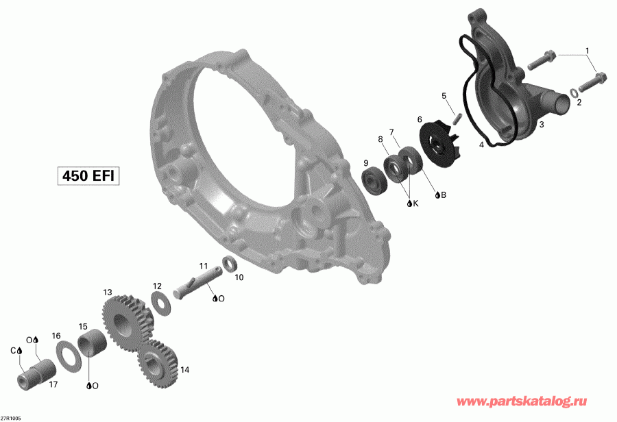 ������������ BRP DS 450 Xxc, Xmx EFI, 2010 - ���������� ���������