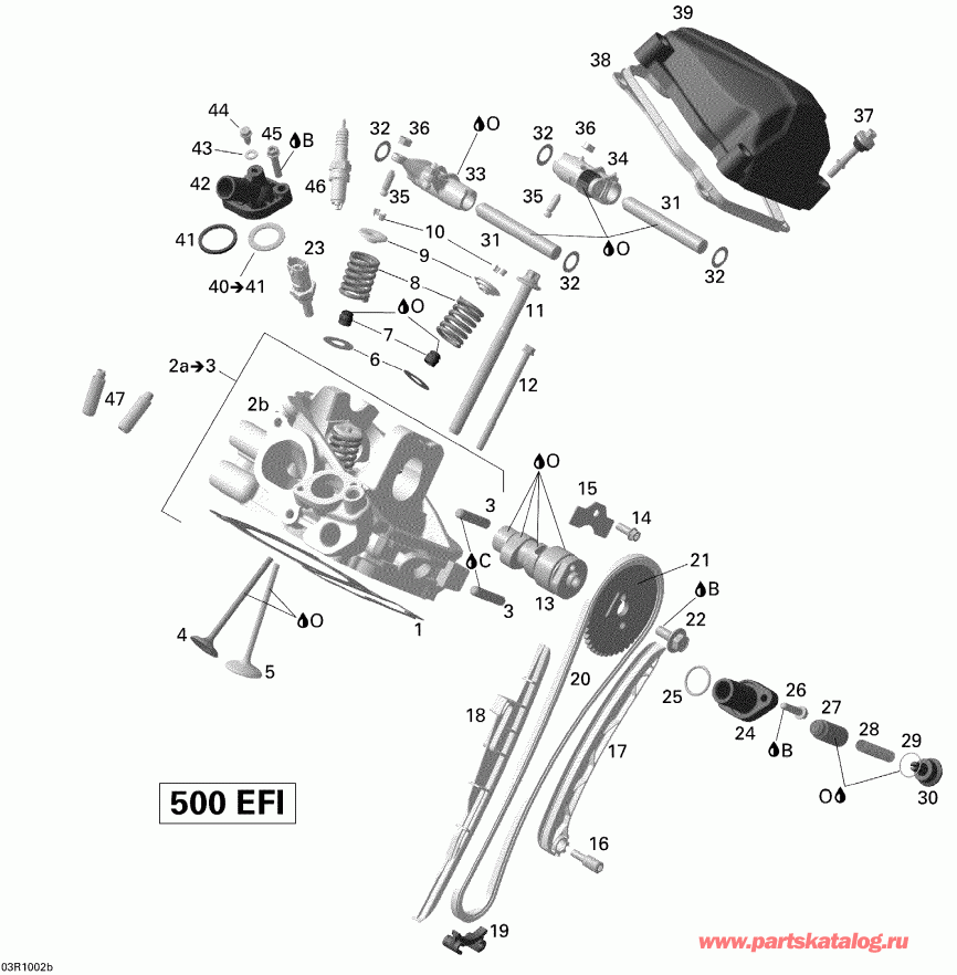 ATV  ����������� Renegade 500 EFI, 2010 - Cylinder Head, Rear
