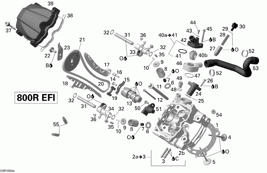 ���������� Bombardier Renegade 800R EFI STD, 2010 ������ - ������� ����� ��������, Front