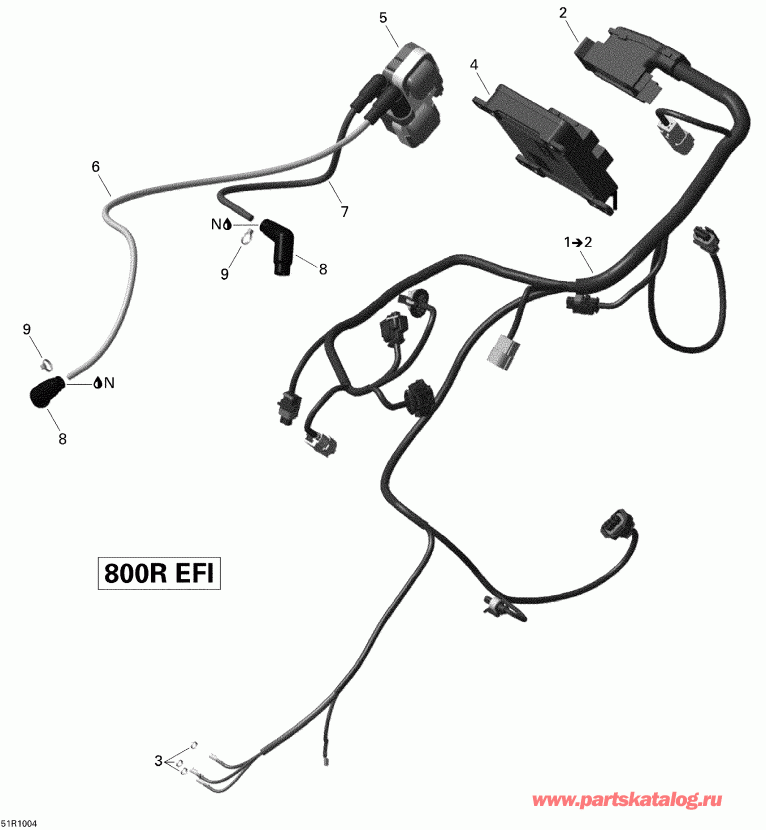 ������������  Renegade 800R EFI Xxc, 2010 - Engine Harness And Electronic Module V2