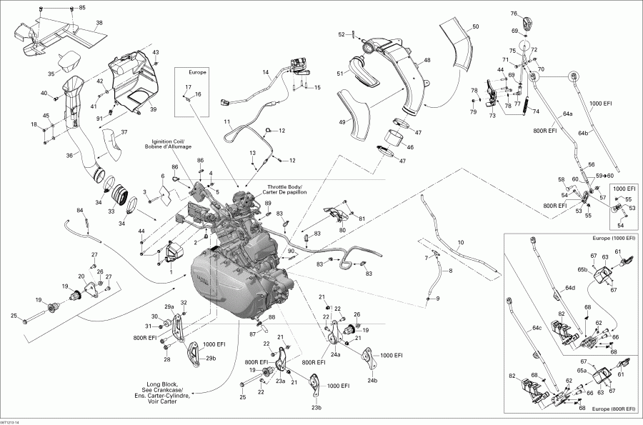 ���������� Bombardier Renegade STD, XXC, 1000 EFI, 2012 ������ - Engine