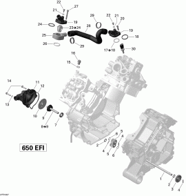 01-   (01- Engine Cooling)