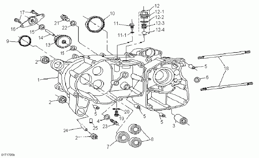  BRP DS 90, 2017  - Crankcase, Left