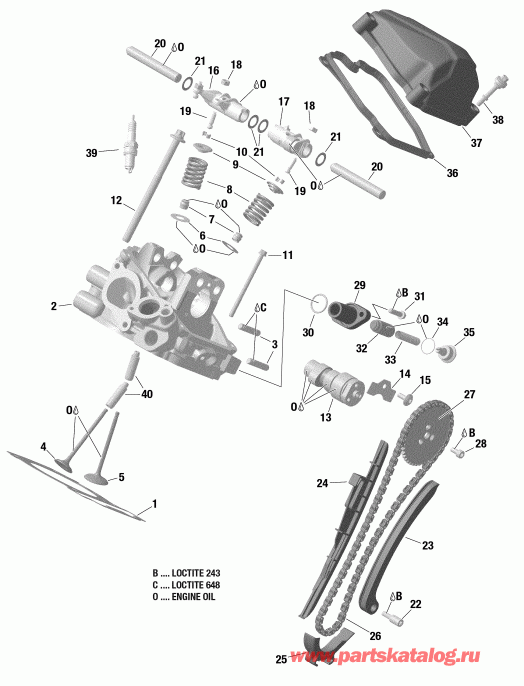���������� BRP 003 - Outlander 570 EFI - PRO NORDIC - T3, 2019 ������ - Cylinder Head, Rear
