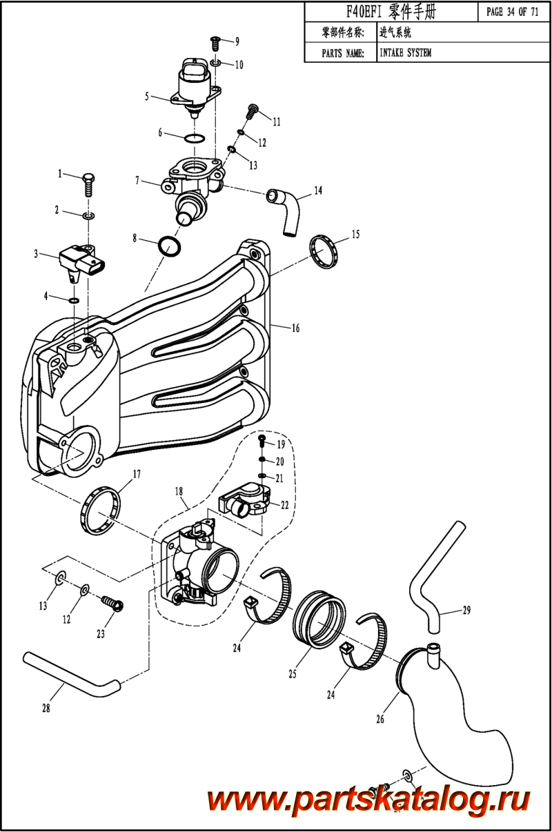 ,   , ,  F60 EFI   SYSTEM