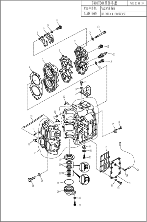 CYLINDER & CRANKCASE (    )