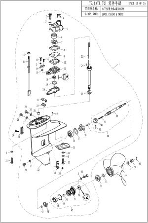 LOWER CASING & DRIVE (  )