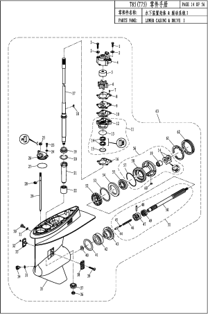 LOWER CASING & DRIVE 1 (   1)