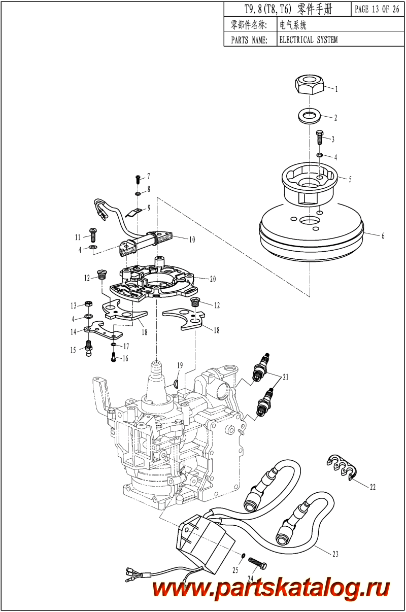  ,    , Parsun,  T9.8 ELECTRICAL SYSTEM -  SYSTEM