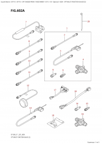 602A - Opt:multi Function Gauge (2) (602A - : multi Function Gauge (2))