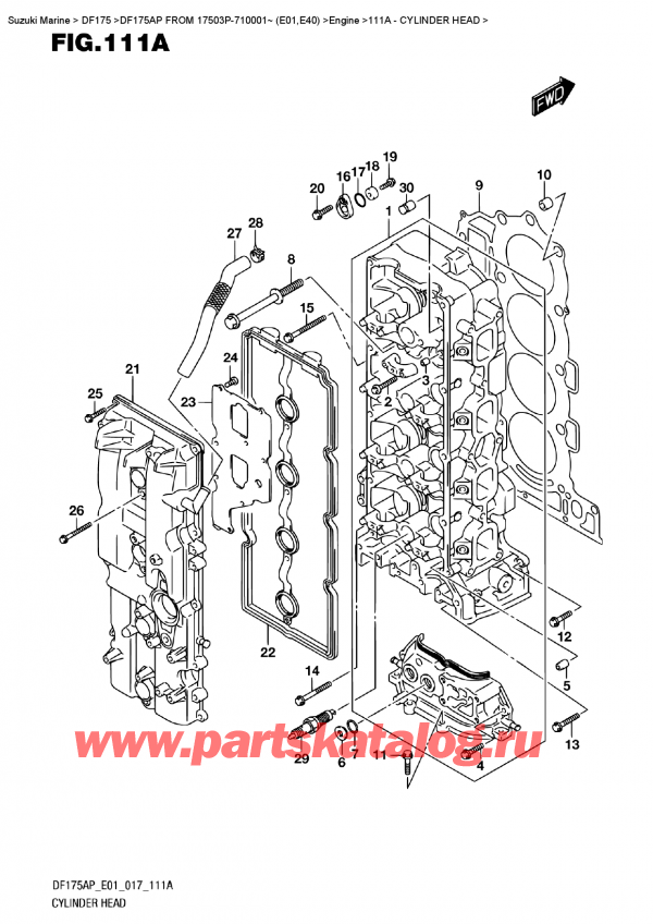   ,  ,  DF175AP L/X  FROM 17503P-710001~ (E01)  , Cylinder Head /   