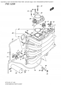 123A  -  Intake Manifold/throttle  Body (123A -   /  )