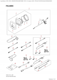 600C - Opt:multi  Function Gauge (Df20Ar,Df20At) (600C - : multi Function Gauge (Df20Ar, Df20At))