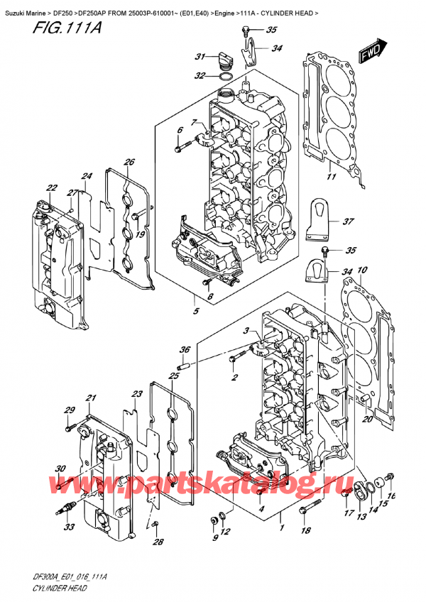   , , Suzuki DF250AP L/X FROM 25003P-610001~ (E01)  , Cylinder Head