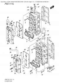 111L  -  Cylinder Head  (Df250Z  E01) (111L -    (Df250Z E01))