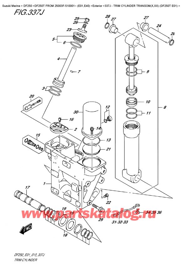   ,   , Suzuki DF250T X/XX FROM 25003F-510001~ (E01)  2015 ,   Transom (X, xx) (Df250T E01) / Trim  Cylinder  Transom(X,xx)  (Df250T  E01)