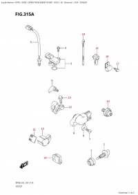 315A - Sensor (315A - )