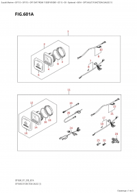 601A - Opt:multi Function Gauge (1) (601A - : multi Function Gauge (1))