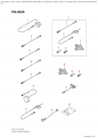 602A  -  Opt:multi  Function Gauge (2) (602A - : multi Function Gauge (2))