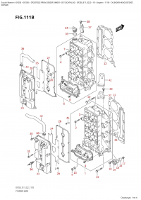 111B  -  Cylinder  Head (Df250T, (111B -    (Df250T,)