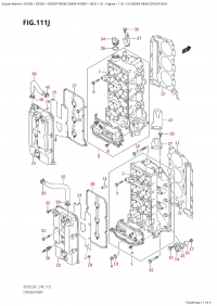 111J - Cylinder Head (Df250T:e01) (111J - ������� ����� �������� (Df250T: e01))