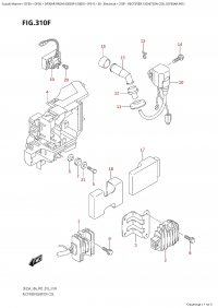 310F - Rectifier / Ignition Coil (Df30Ar:p01) (310F -  /   (Df30Ar: p01))