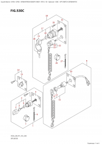 530C - Opt:switch (Df30Ar:p01) (530C - :  (Df30Ar: p01))