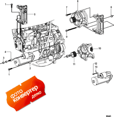 Alternator And Starter (  )