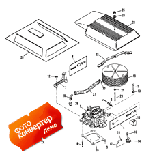 Carburetor And Linkage (   )