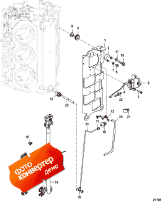 Coil Plate (Coil )