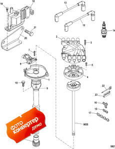 Distributor And Ignition Components (Distributor   )