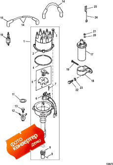 Distributor And Ignition Components (Distributor   )