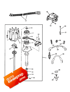 Distributor And Ignition Components (Distributor   )