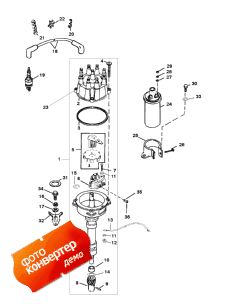 Distributor And Ignition Components (Distributor   )