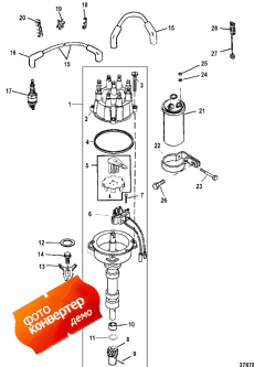 Distributor And Ignition Components (Distributor   )