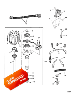 Distributor And Ignition Components (Distributor   )