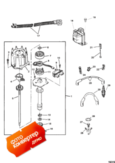 Distributor And Ignition Components (Distributor   )