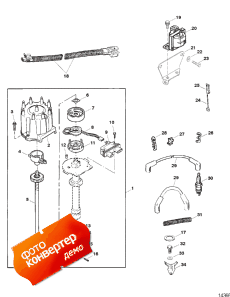 Distributor And Ignition Components (Distributor   )