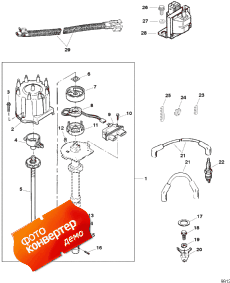 Distributor And Ignition Components (Distributor   )