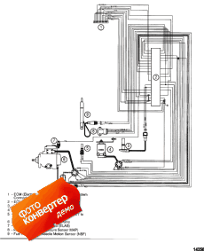 Edi Harness (Edi  )