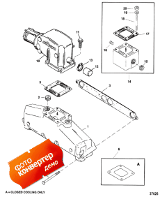 Exhaust Manifold And Stainless Steel Exhaust Elbow (   Stainless Steel  Elbow)