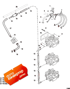 Fuel Lines ()