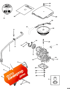 Fuel Pump And Carburetor (   )